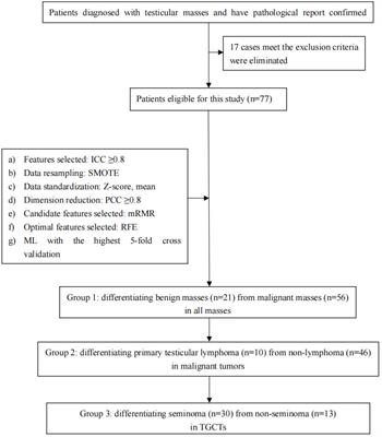 Machine learning-based CT texture analysis in the differentiation of testicular masses